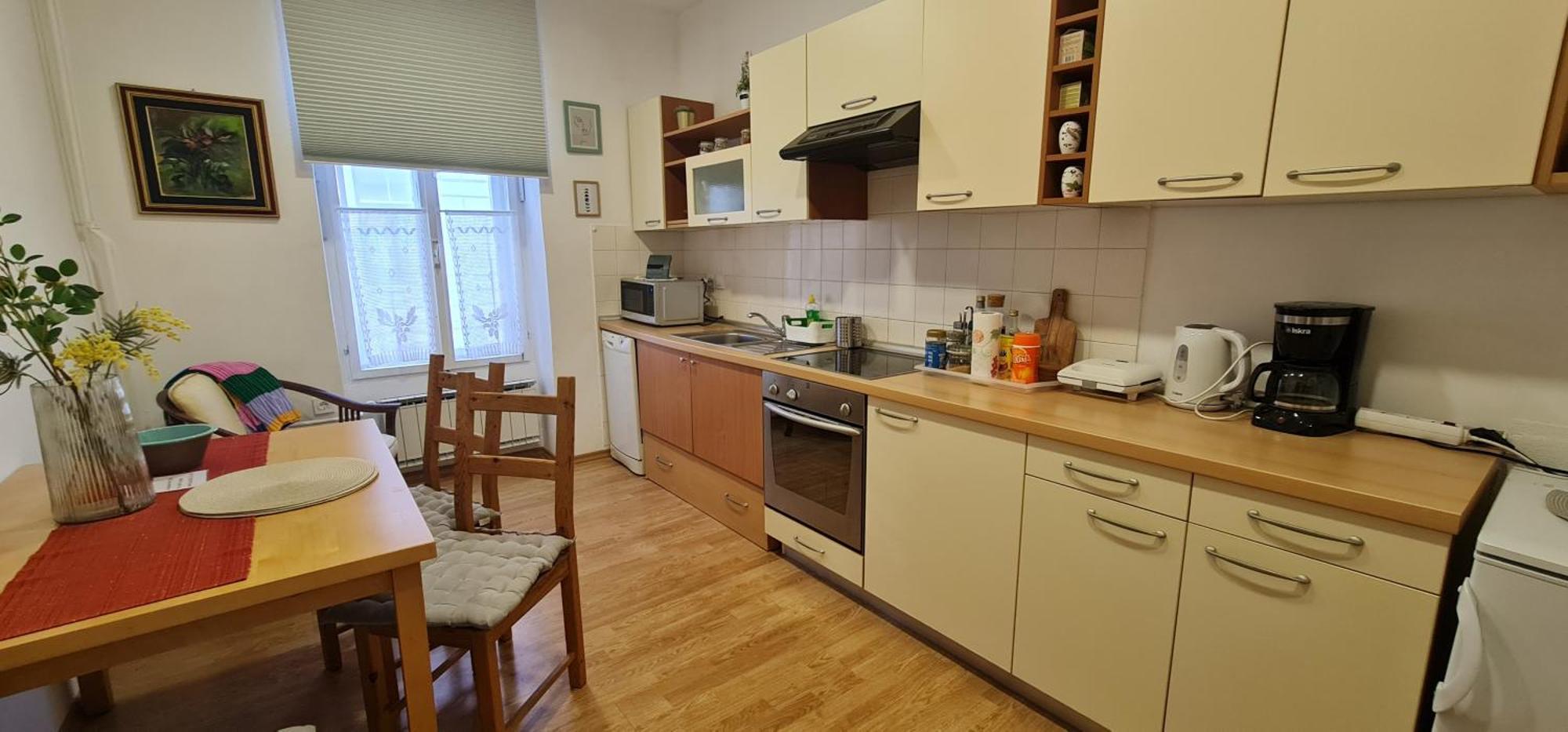 Apartma Domenika Ptuj Exterior foto